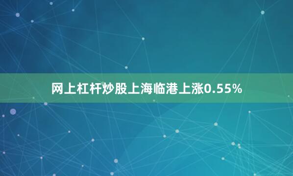 网上杠杆炒股上海临港上涨0.55%